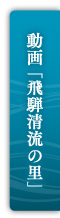 動画「飛騨清流の里」